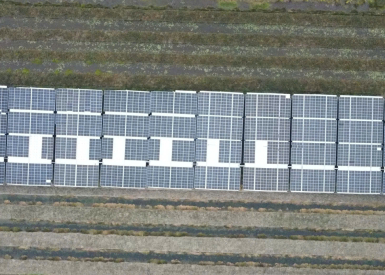 Dự án : 990kwp vận hành O&M Tại hỏa tiến vị thanh hậu giang