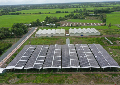 Dự án 990kwp vận hành O&M Tại LONG MỸ HẬU GIANG
