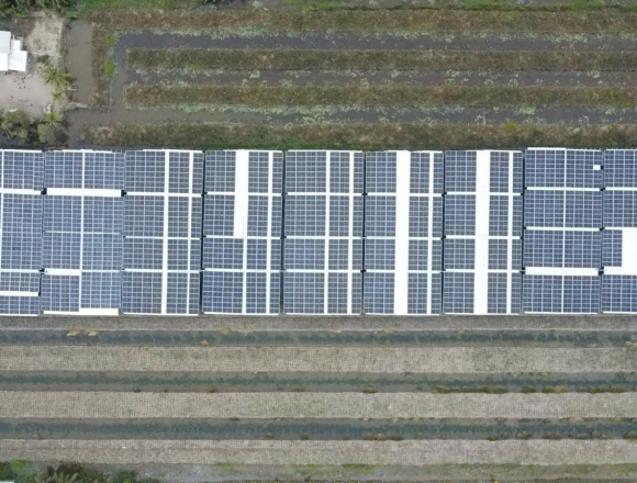 Dự án : 990kwp vận hành O&M Tại hỏa tiến vị thanh hậu giang